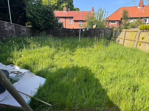 M.Levy Garden Services — Customer photo