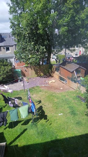 Alba Tree Surgeons — Customer photo