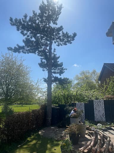 JLH Tree & Hedge Services — Customer photo