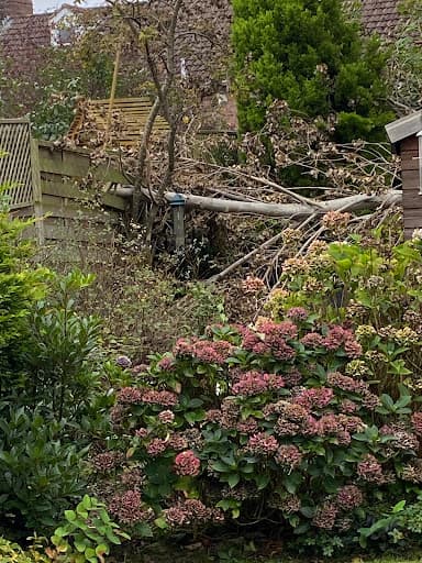 Karl Fischer Garden Grounds & Tree Maintenance Limited — Customer photo