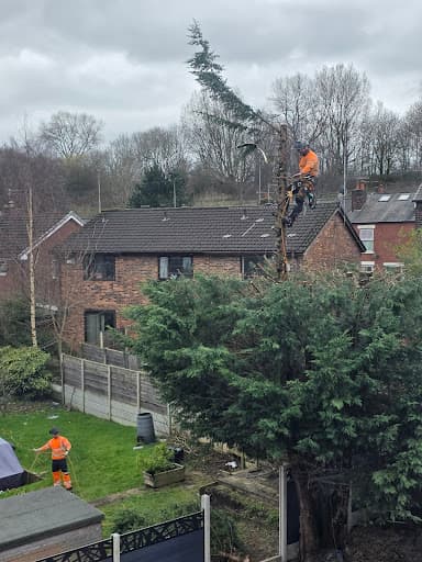 Forever-tree’s Manchester tree surgeon and landscaping — Customer photo