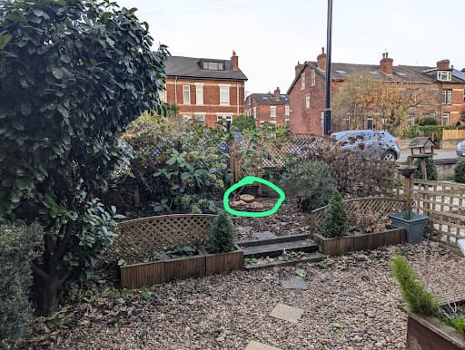 Leeds Tree Services — Customer photo