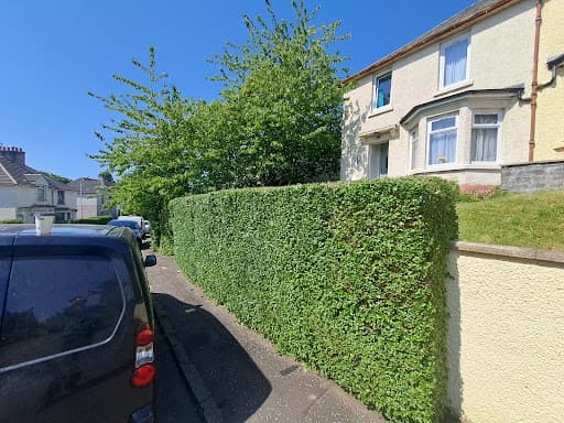 Glasgow Lawn Maintenance — Customer photo