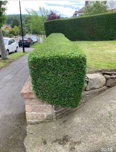 Dovetail Gardening Services Ltd — Customer photo