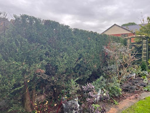 Lucas tree care Ltd — Customer photo
