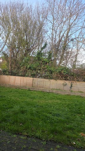Stubbington Tree Care — Customer photo