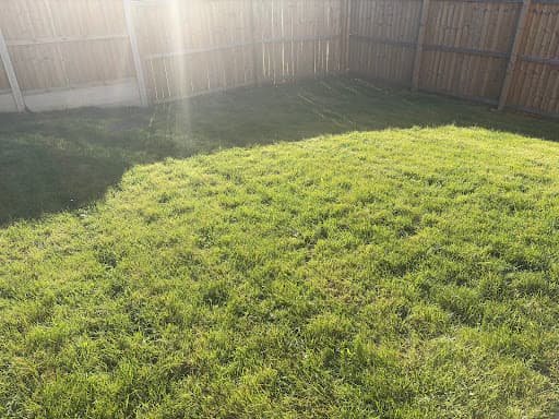 Nomi Tree & Garden Services. — Customer photo