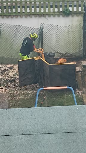 Cardiff Tree Surgery — Customer photo
