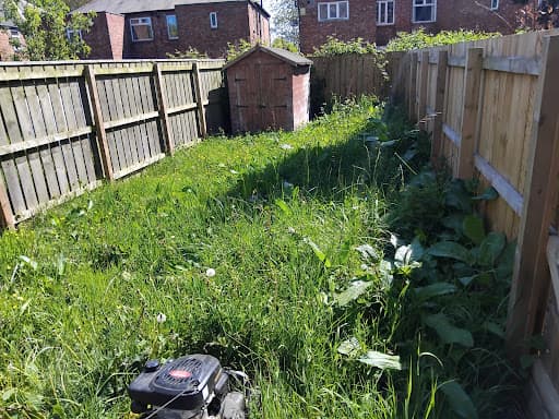 M.Levy Garden Services — Customer photo