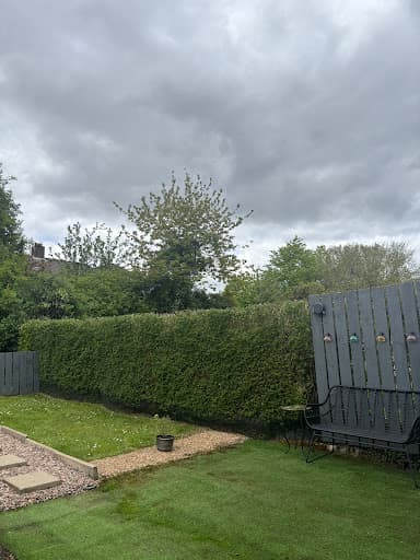 Belfast Tree & Garden Services - Pruned /Topped/Removed — Customer photo