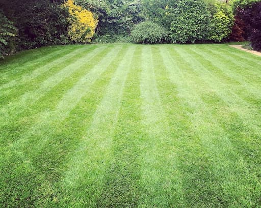 Greensleeves Lawn Care Norwich & East Norfolk — Customer photo