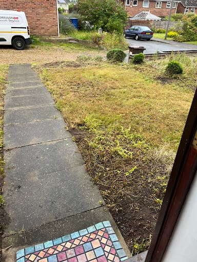 Talking Elm Tree Services — Customer photo