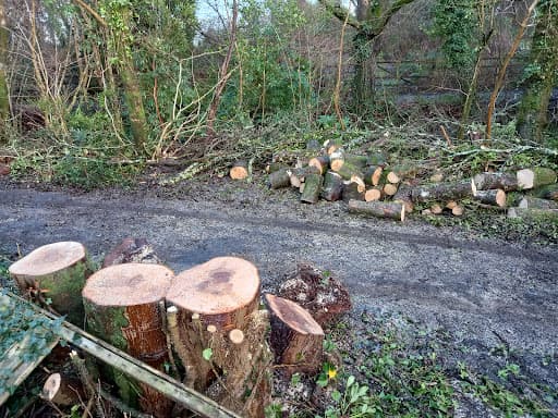 Gower Tree Work Specialists Ltd — Customer photo