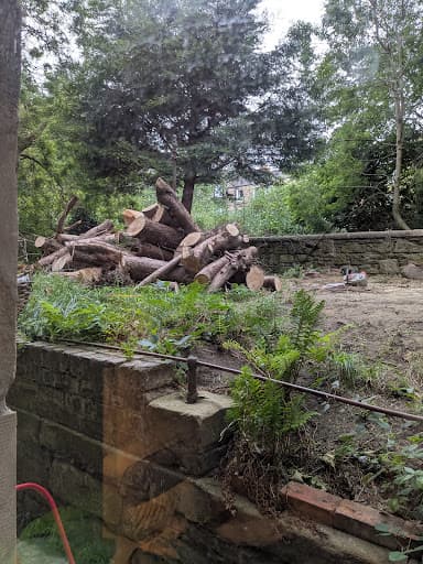 Alba Tree Surgeons — Customer photo