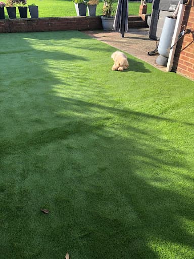 Rhino Landscaping — Customer photo