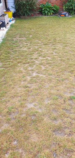 NSK Landscapes — Customer photo
