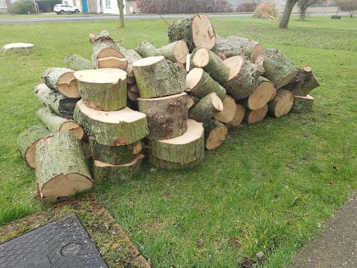 Wilby Tree Surgeons Ltd — Customer photo