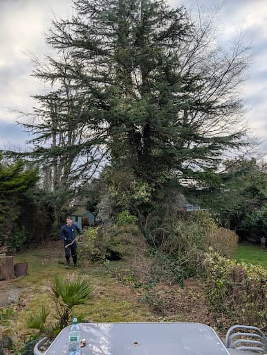 The Tree Felling Group — Customer photo