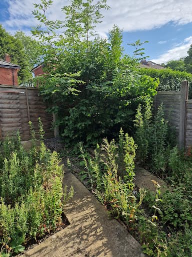 Maratt Lawn & Garden — Customer photo