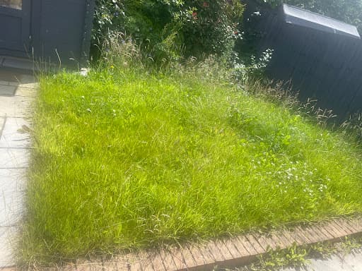 APGardeningMaintenance — Customer photo