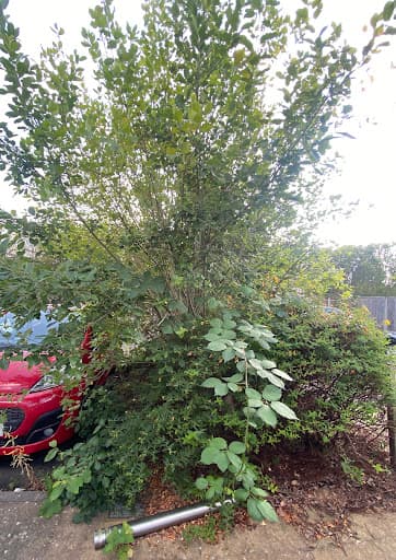 T&A Birmingham Gardeners — Customer photo