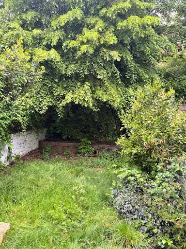 Two Brothers' Gardening — Customer photo