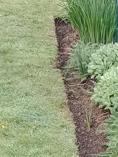 Cropper Grounds Maintenance Ltd — Customer photo