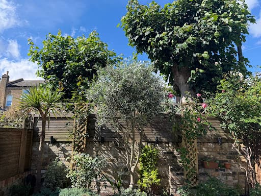 Two Brothers' Gardening — Customer photo