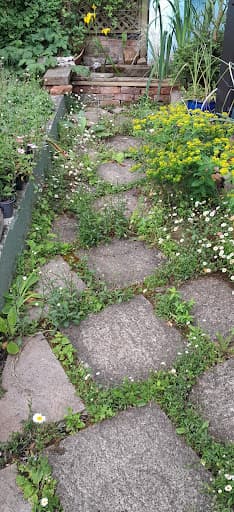 Stockman Landscaping — Customer photo