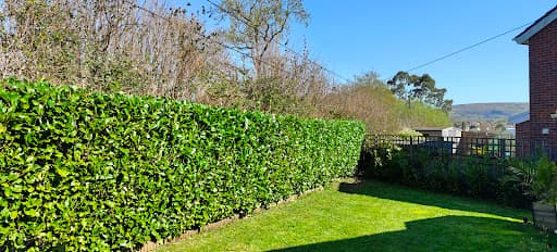 Garden Care Radyr — Customer photo