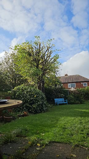 West Jesmond Tree Surgery Ltd — Customer photo