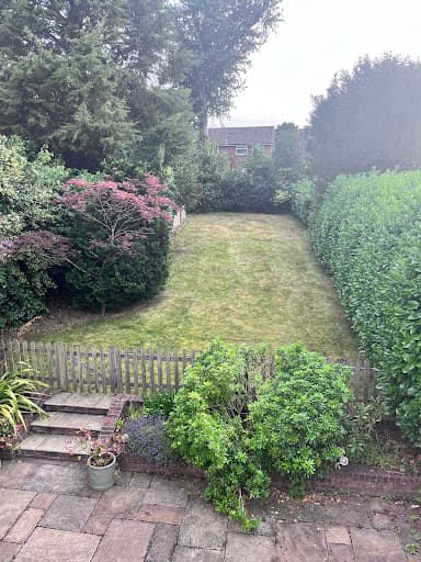 Matt’s Lawn Mowing — Customer photo