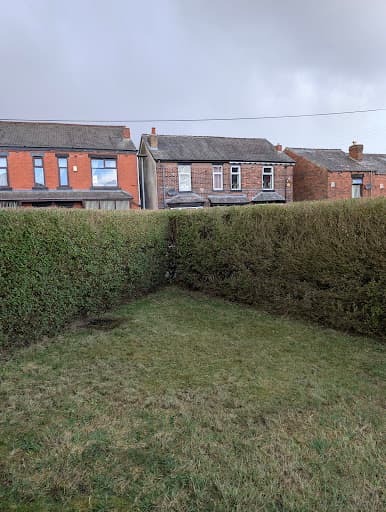 Sykes Tree & Garden Services | Gardener | Tree surgery | Hedge cutting | Ground maintenance — Customer photo