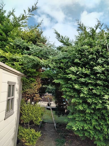 Emerald Elm Tree Surgery LTD — Customer photo