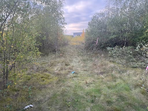 BOLTON TREE & STUMP REMOVALS/BOLTON TREE SURGEON — Customer photo