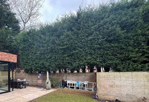 Alderwood Tree Care Ltd — Customer photo