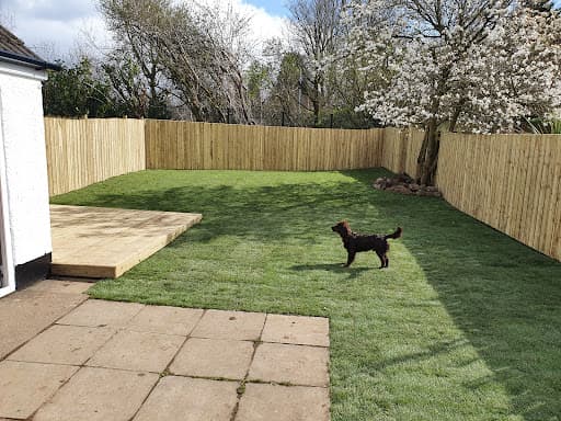 Belmont Garden Service — Customer photo