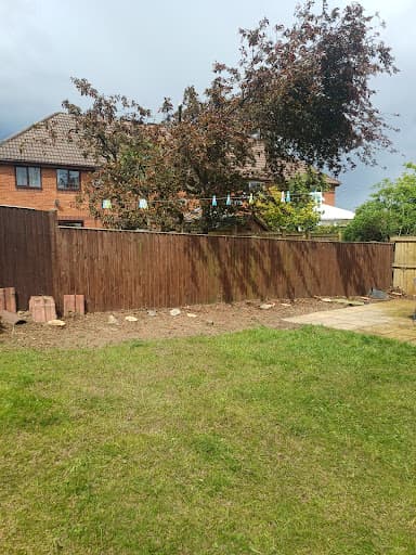 Lime Tree Surgeons — Customer photo