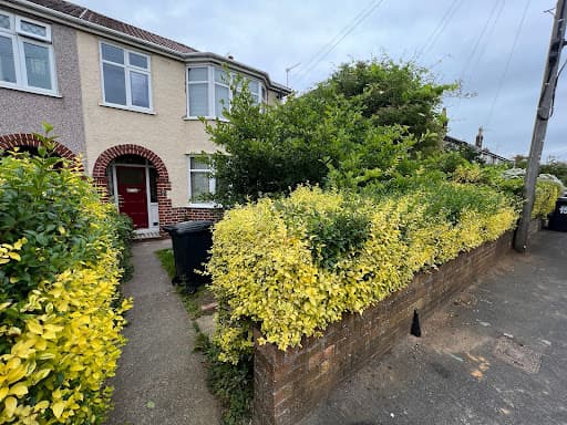 Jack's Garden Services Ltd — Customer photo