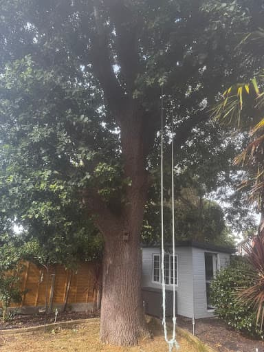 Angus Tree Services Ltd — Customer photo