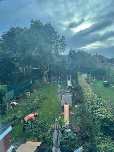 West Jesmond Tree Surgery Ltd — Customer photo