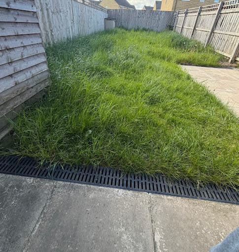 Gardener in Leeds — Customer photo