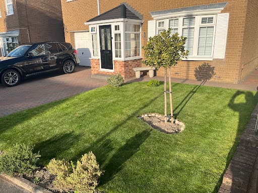 Tyne lawns — Customer photo