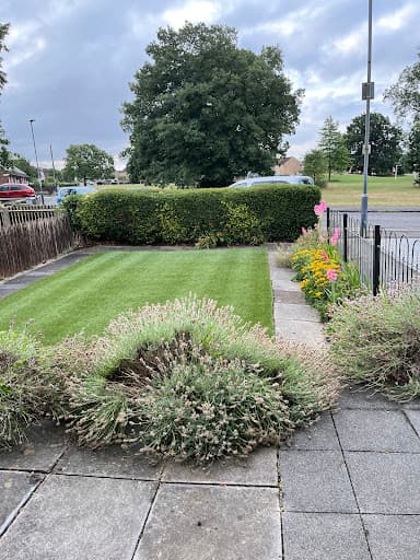 JLH Tree & Hedge Services — Customer photo