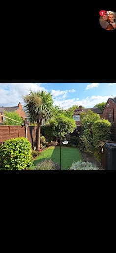 Tree Cut - Tree Surgery Manchester — Customer photo