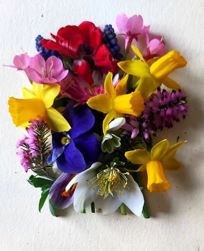 Bloom Gardening — Customer photo