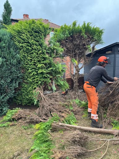 Treestyle Arboriculture, Tree Surgeon Manchester — Customer photo