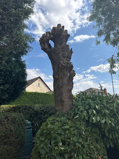 Boningale Tree Services — Customer photo