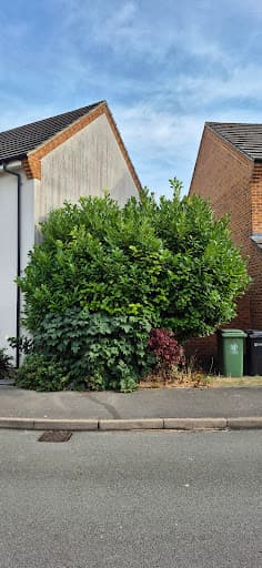 Angus Tree Services Ltd — Customer photo