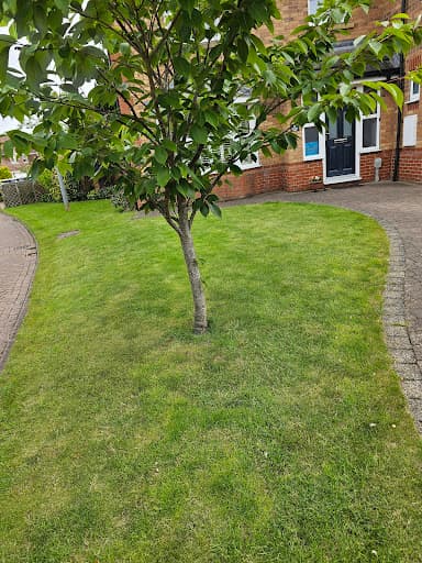 Greensleeves Lawn Care East Riding — Customer photo